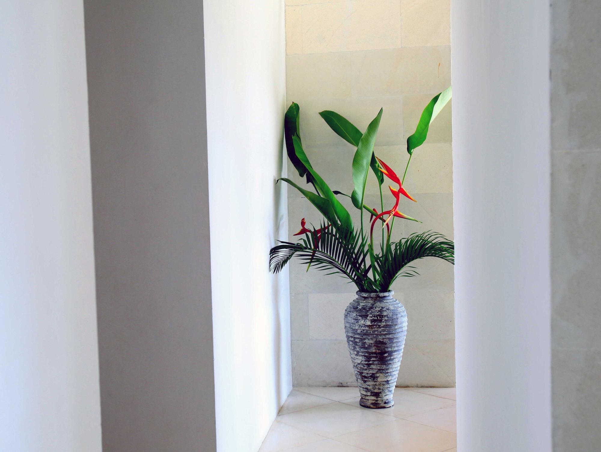 Jeda Villa Modern Stylish Luxury Villa Pemuteran Esterno foto